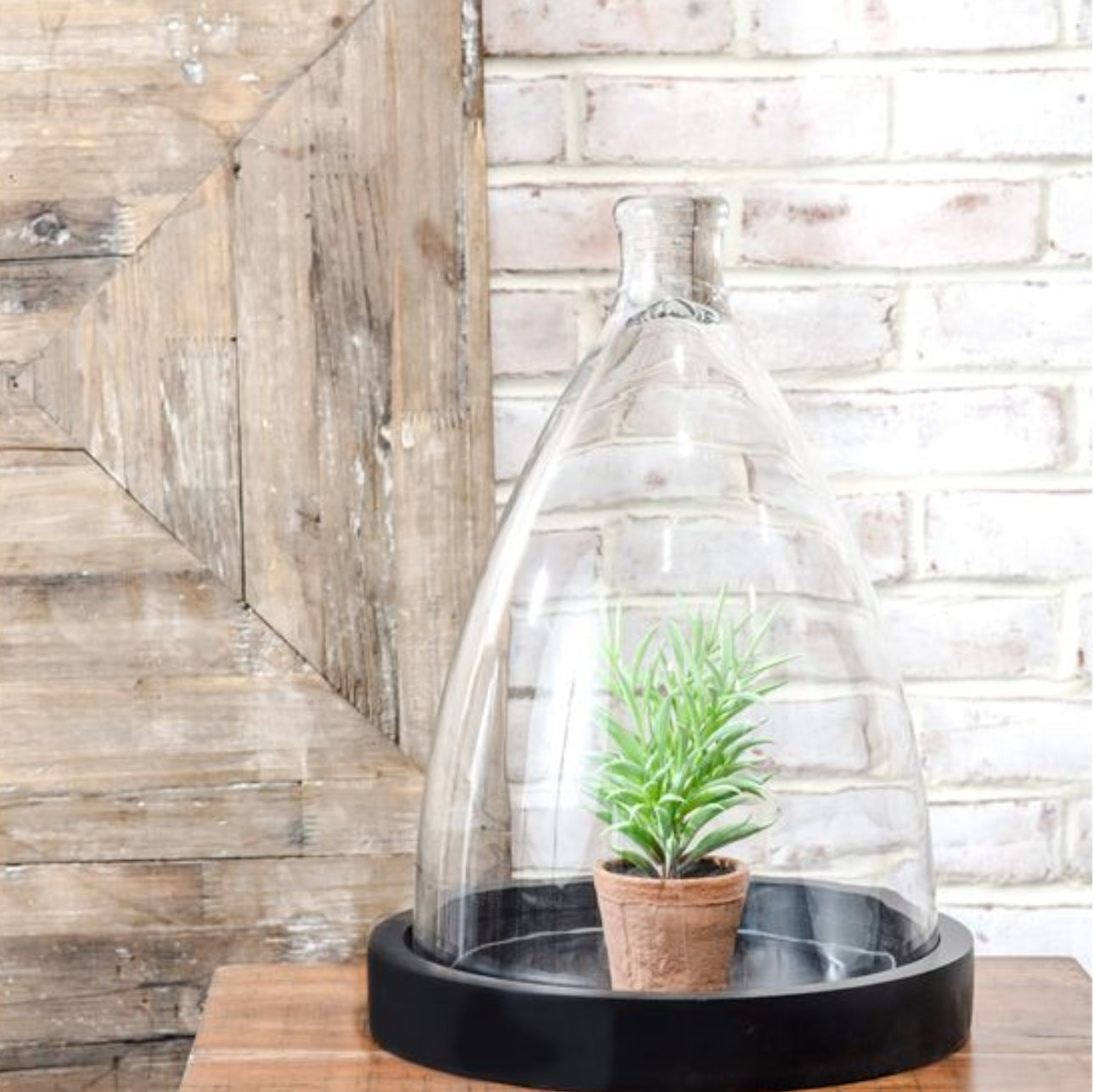 Glass Dome with Wood Base