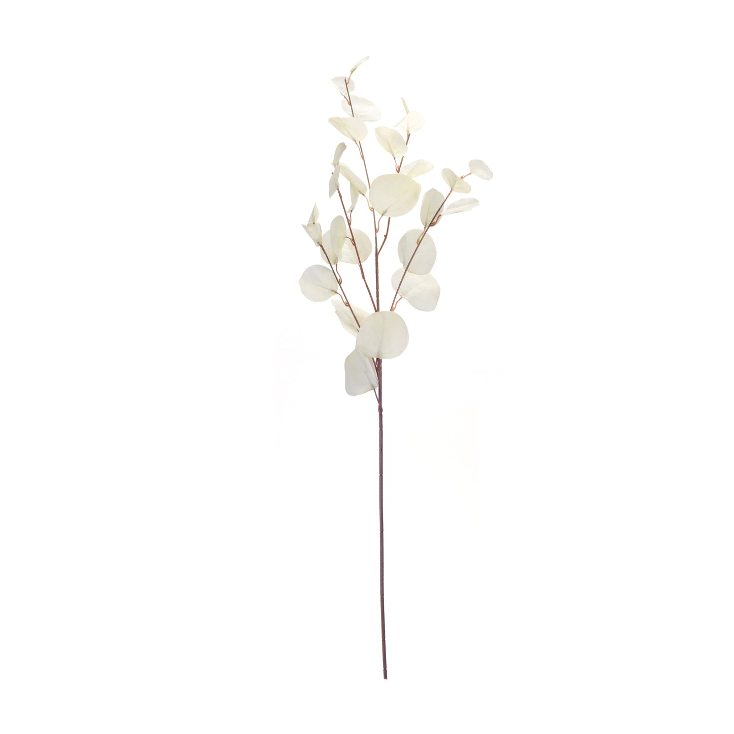 White Eucalyptus Spray 34"