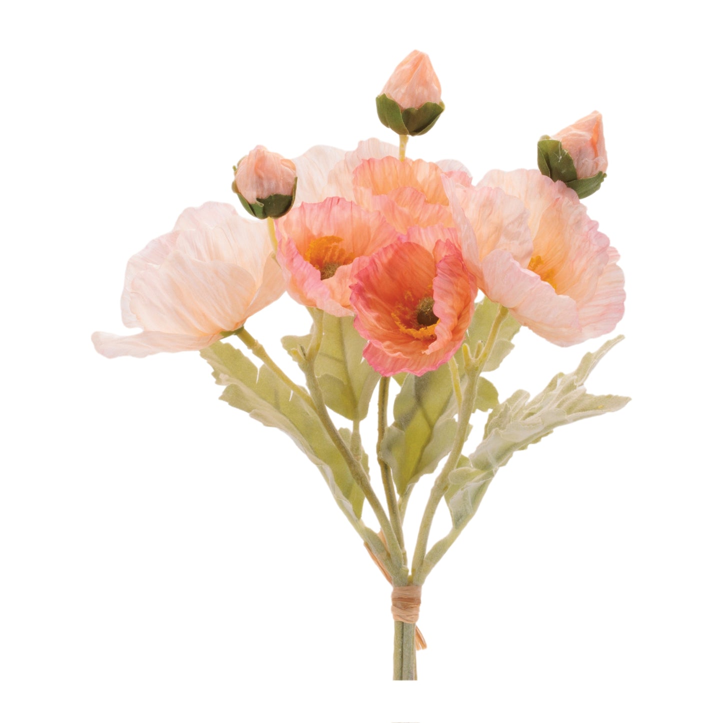 Poppy Bundle