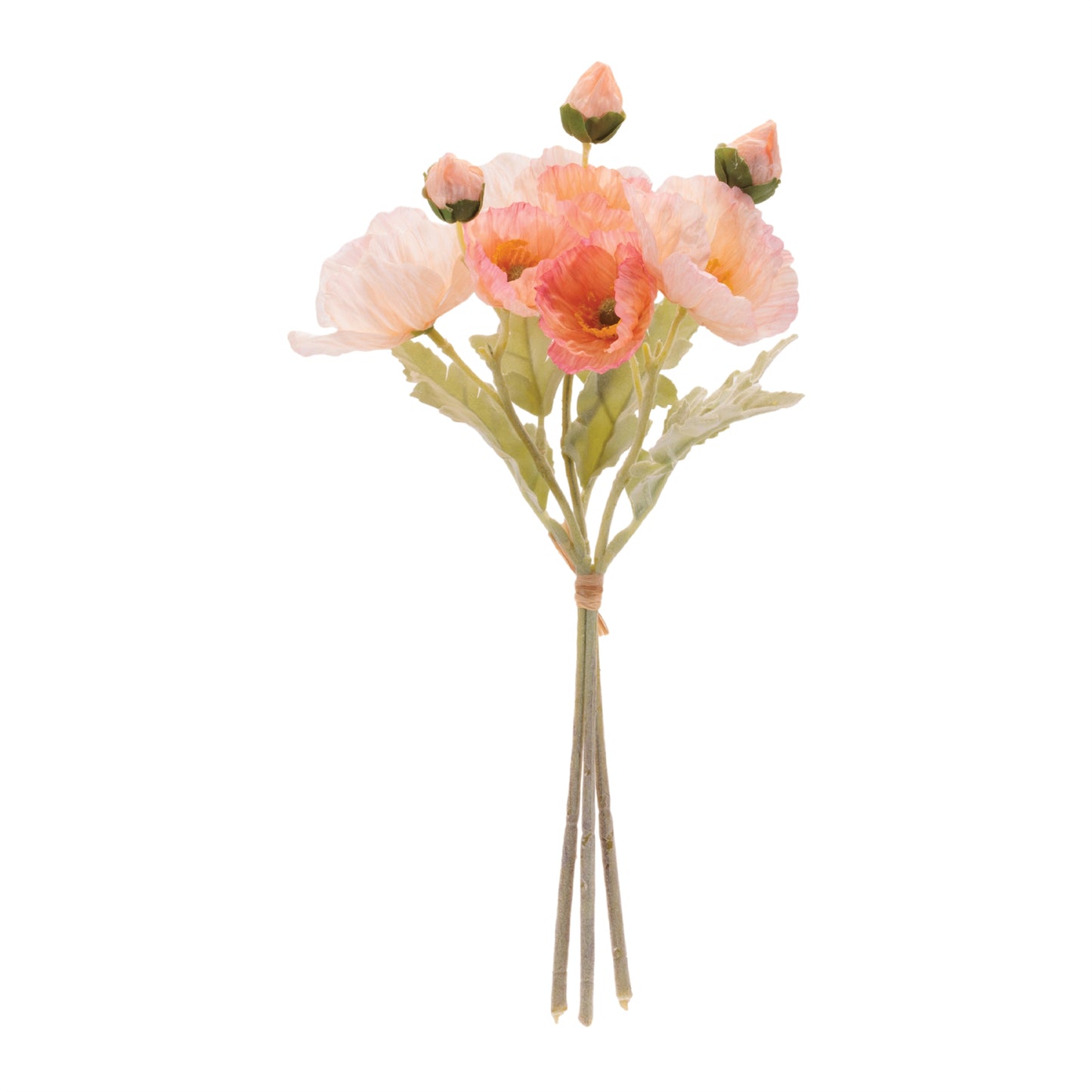Poppy Bundle