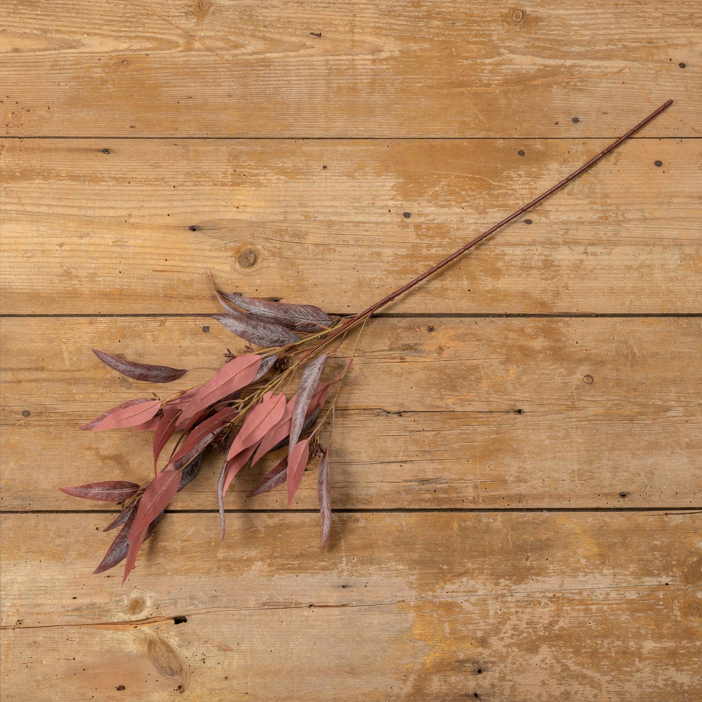 PURPLE LEAF SPRAY