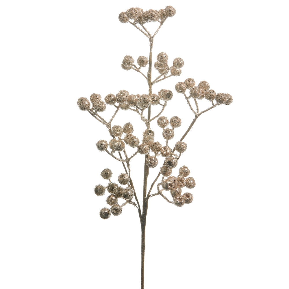 Champagne Berry Pick