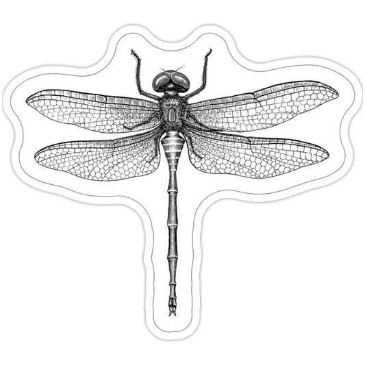 Dragonfly Sticker