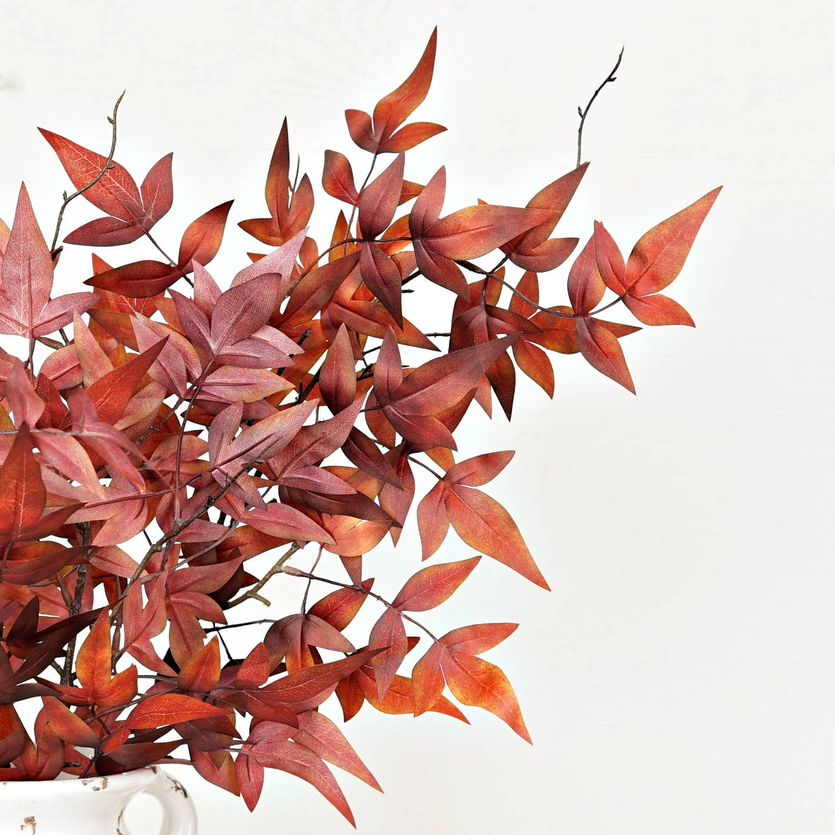 Dark Burgundy Japanese Maple Leaves