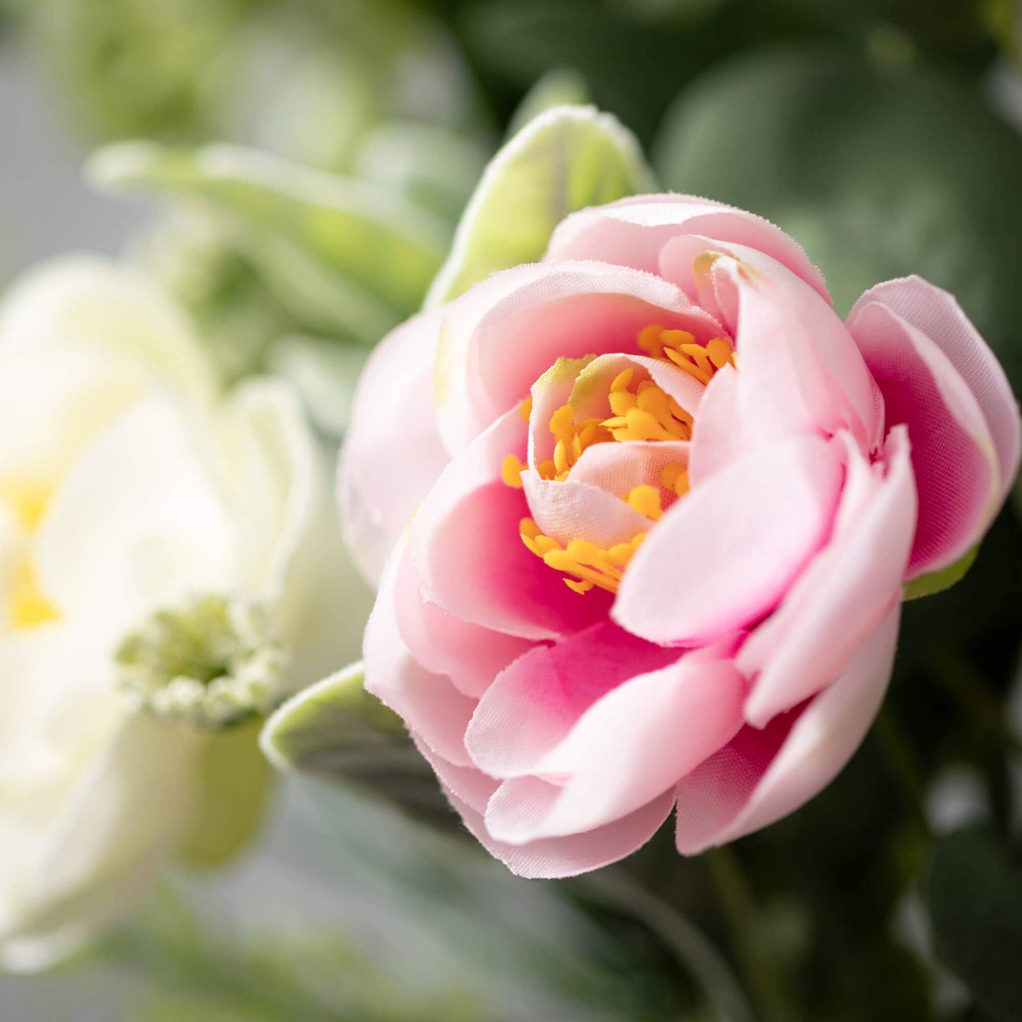 RANUNCULUS MINI BLOSSOM