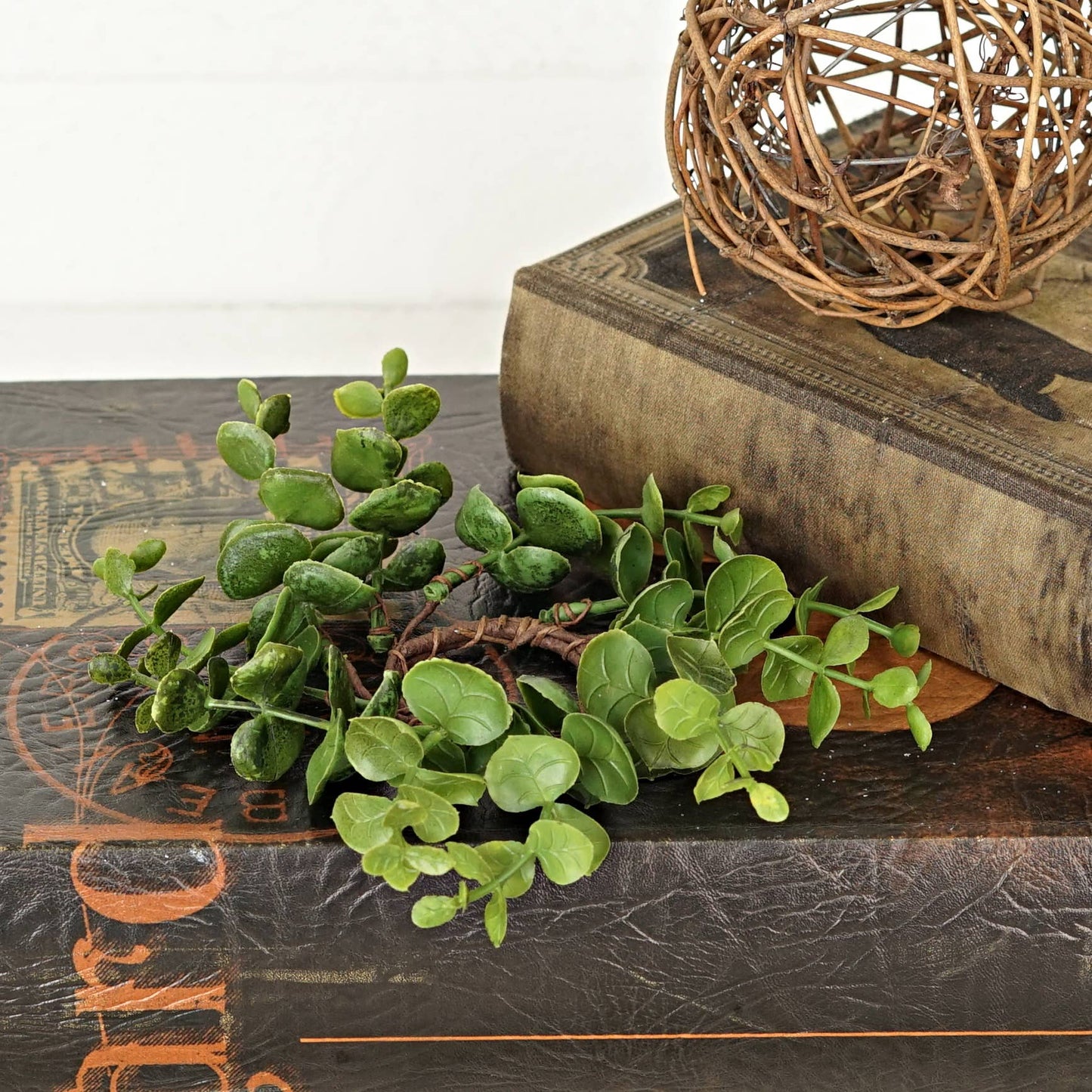 Eucalyptus Taper RIng