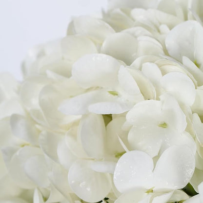 Real Touch Hydrangea