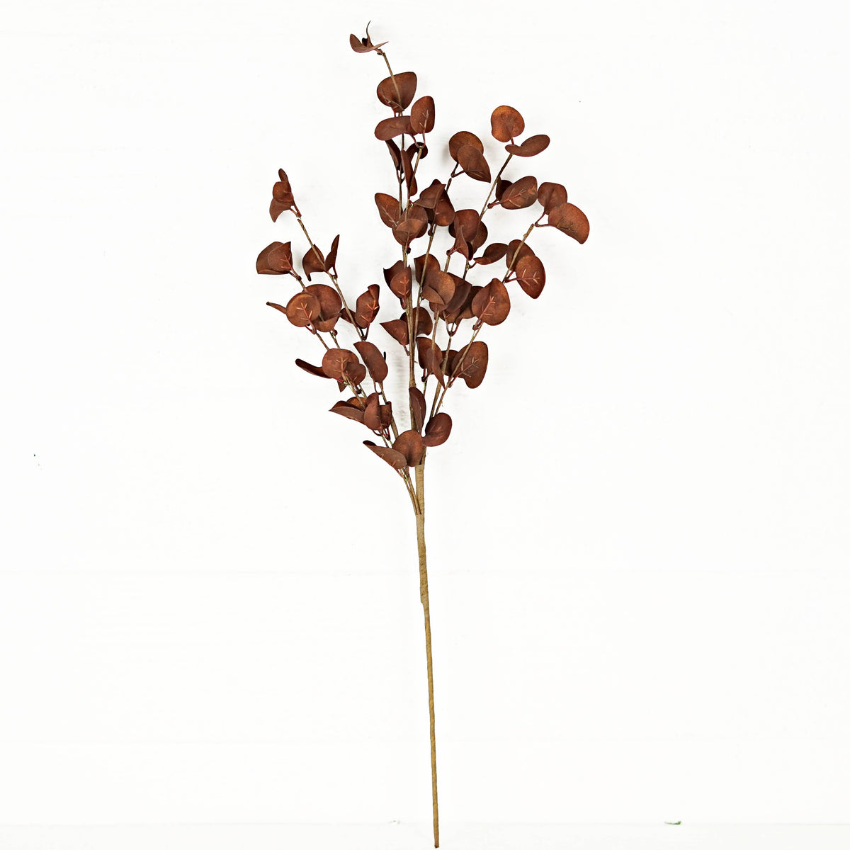 Coffee Silver Dollar Spray 26"