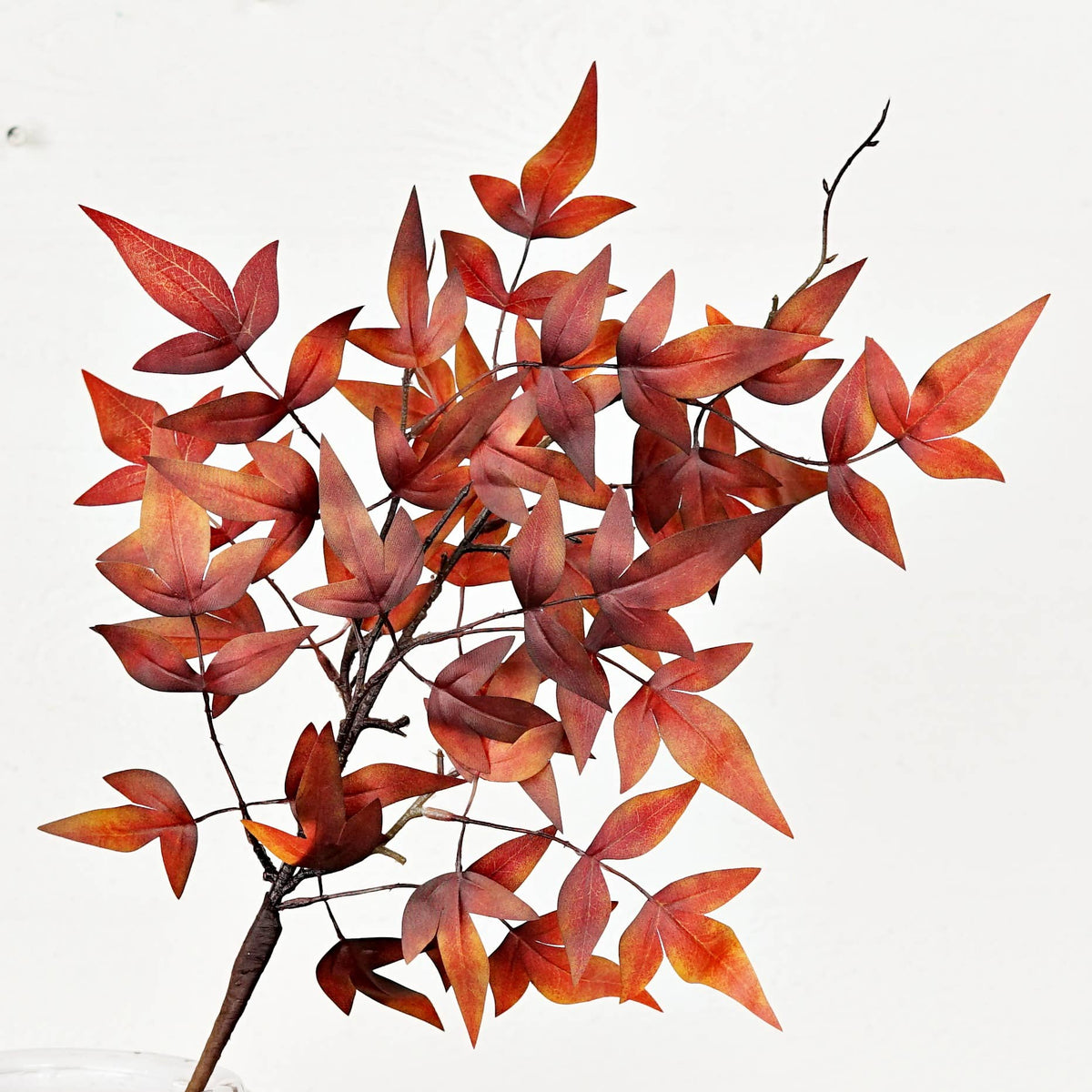Dark Burgundy Japanese Maple Leaves