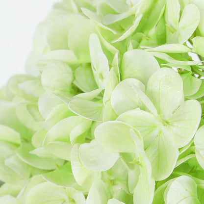 Real Touch Hydrangea