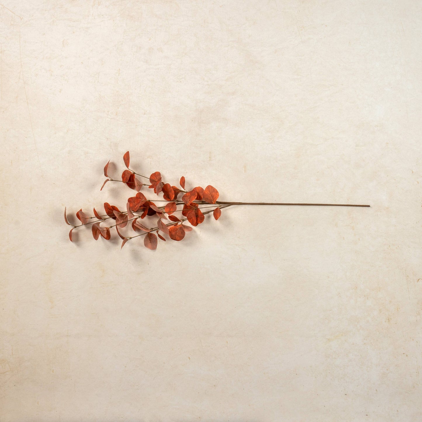 ORANGE EUCALYPTUS SPRAY