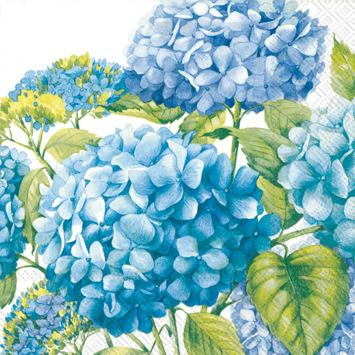 Cocktail Napkins - Blue Hydrangea