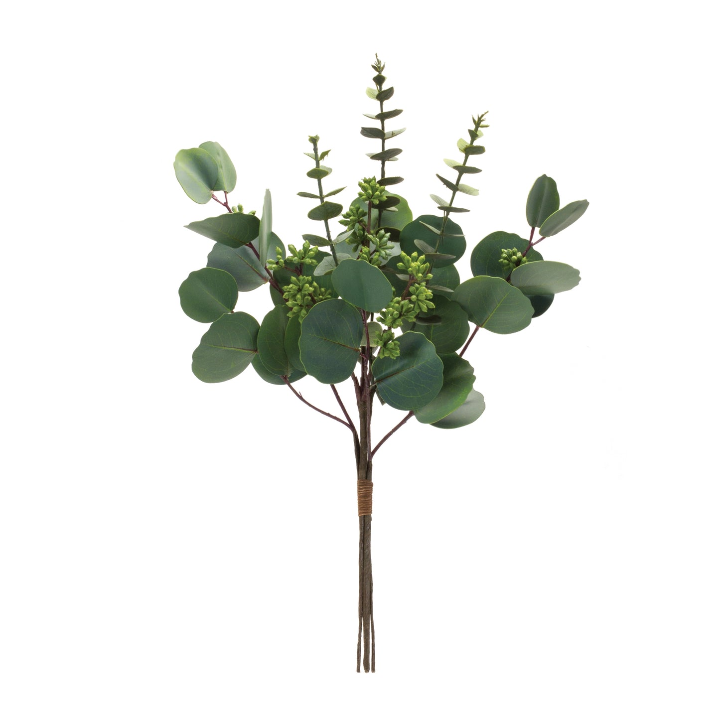 Mixed Eucalyptus Bundle 19"