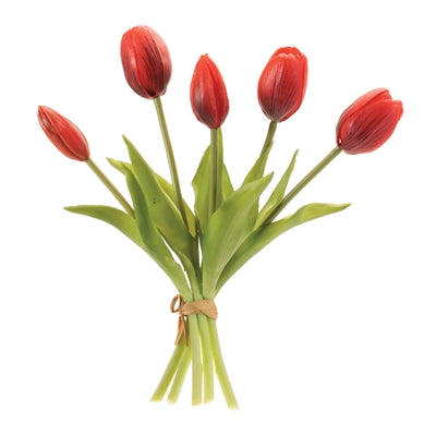 Tulip Bundle 11"