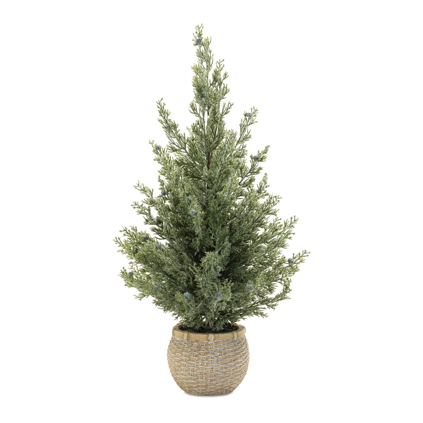 Potted Mini Pine Tree 23”H