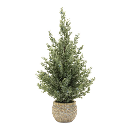 Potted Mini Pine Tree 23”H