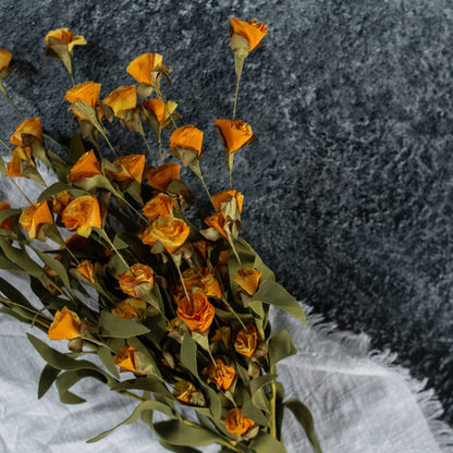 ORANGE WILDFLOWER BUSH