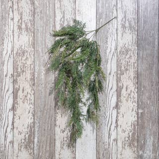 35" CEDAR & HEMLOCK HANGING VINE