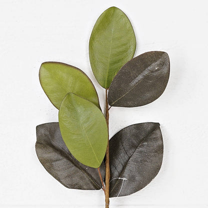 Elegant Magnolia Leaves Pick
