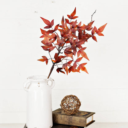 Dark Burgundy Japanese Maple Leaves