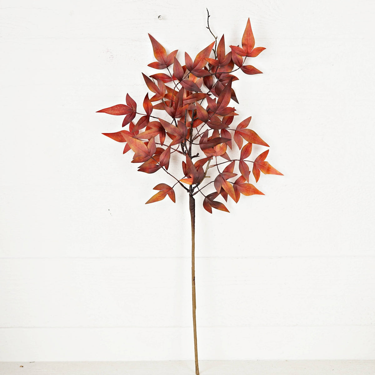 Dark Burgundy Japanese Maple Leaves