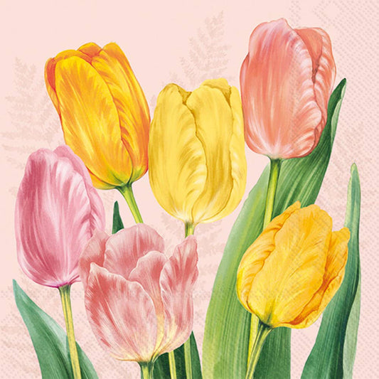 Cocktail Napkins Spring Tulips Rose
