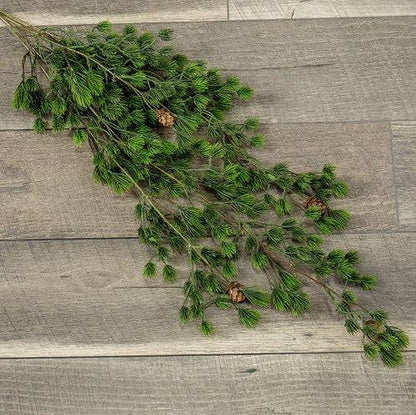 32" CLUSTER PINE HANGING VINE