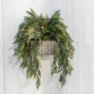 35" CEDAR & HEMLOCK HANGING VINE
