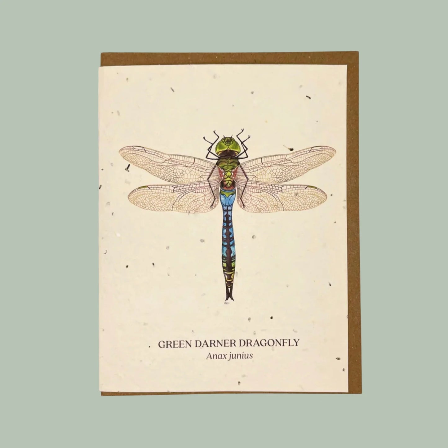 Green Darner Dragonfly Plantable Card