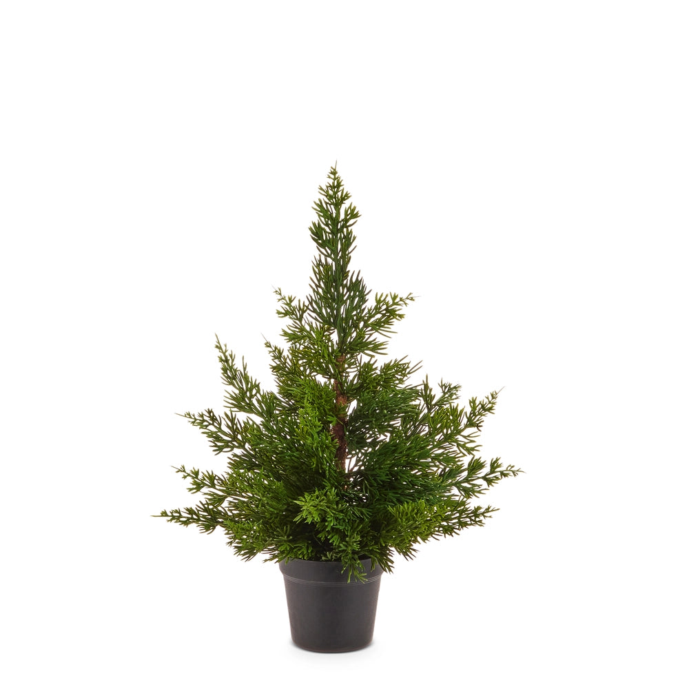 17" Potted Cedar Tree